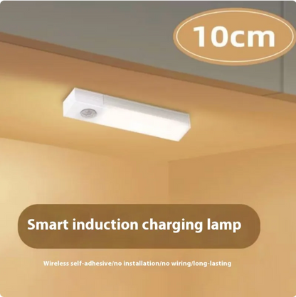 Smart Motion Sensor Light